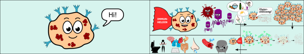 Mehrere Kästchen mit comic-artiger Mastzelle.
Erstes Kästchen: Mastzelle, freundlicher Blick und offene Augen mit einer Sprechblase "Hi!". Zweites Kästchen: Mastzelle mit rotem Umganh "Immunheldin", mit festem Blick und Viren und Bakterien gegenüberstehend. Pfeil mit Symbolen für Gerüche, Geräusche, Viren, Wetter und Nahrungsmittel zum dritten Kästchen: Mastzelle ruft "Unterstützung!", viele kleine rote Partikel gehen von ihr aus und eine große Horde weiterer Mastzellen kommt herbei. Viertes Kästchen zeigt schematisch die Degranulation einer Mastzelle bis zur Auflösung. Das fünfte und letzte Kästchen zeigt schematisch Symptome, die dadurch entstehen, wie eine laufende Nase, Erschöpfung, durchlässige Blutgefäße und Magen-/Darmbeschwerden.